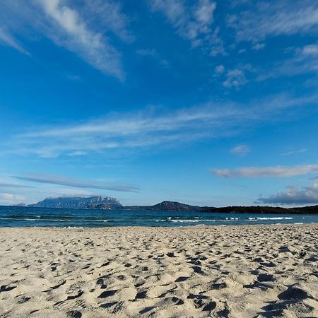Casa Vacanze Lo Squalo Olbia Exteriér fotografie